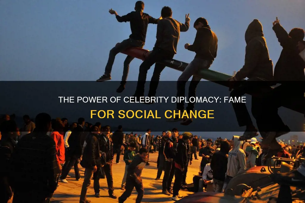 what is celebrity diplomacy