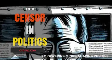 Understanding Political Censorship: Power, Control, and Free Speech Limits