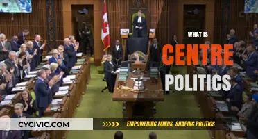 Understanding Centre Politics: Balancing Ideologies in Modern Governance