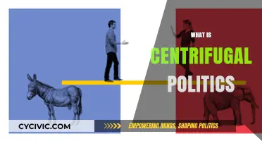 Understanding Centrifugal Politics: Forces Dividing Nations and Shaping Societies
