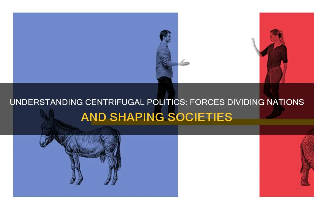 what is centrifugal politics
