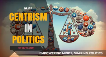 Understanding Centrism: Balancing Political Ideologies in Modern Governance