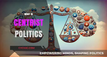 Understanding Centrist Politics: Balancing Ideologies for Pragmatic Governance