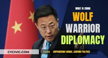 Wolf Warrior Diplomacy: China's Aggressive Foreign Policy Strategy