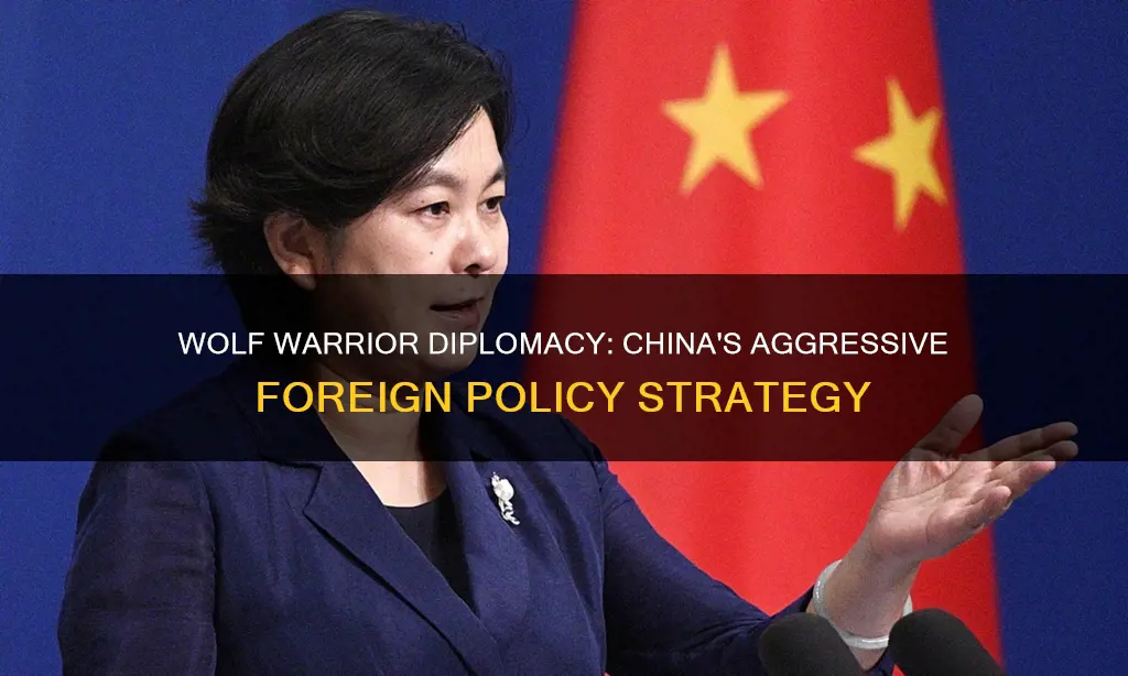 what is china wolf warrior diplomacy