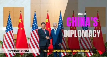 China's Diplomacy: A Complex Strategy Unveiled