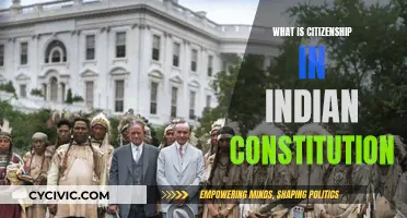 The Indian Constitution: Citizenship Explained