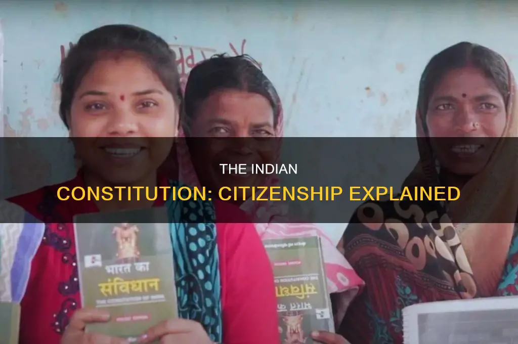 what is citizenship in indian constitution