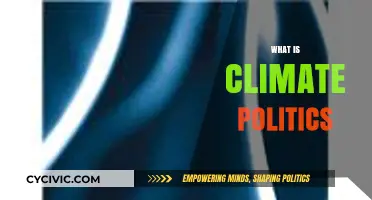 Understanding Climate Politics: Power, Policies, and Global Environmental Governance