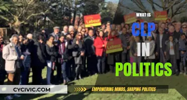 Understanding CLP: The Role of Constituency Labour Parties in UK Politics