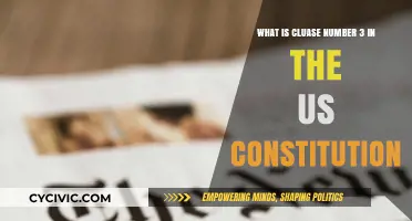 Understanding the US Constitution's Third Clause