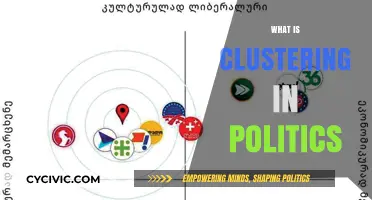 Understanding Political Clustering: How Ideologies Shape Party Alliances