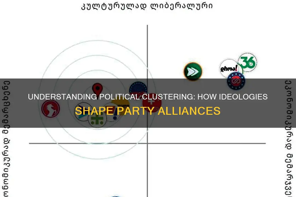 what is clustering in politics