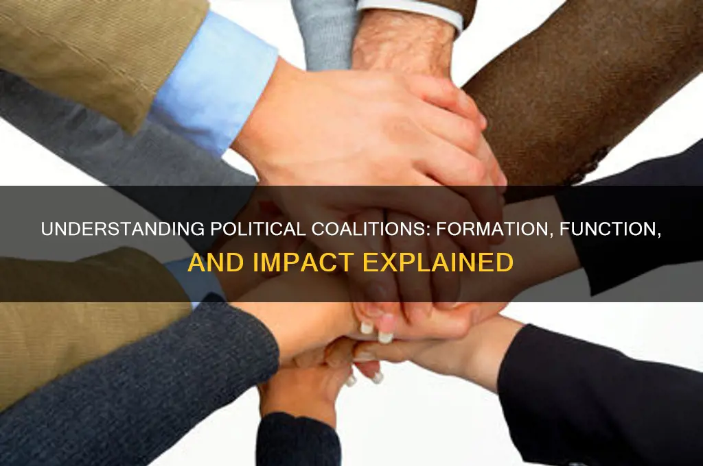 what is coalition in politics