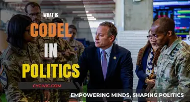 Understanding Codel: Political Delegations and Their Role in Diplomacy