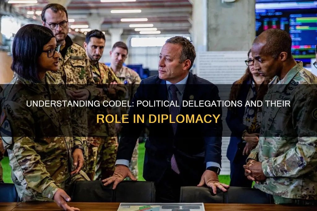 what is codel in politics