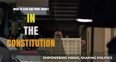 Coin and Print Money: Constitutional Control