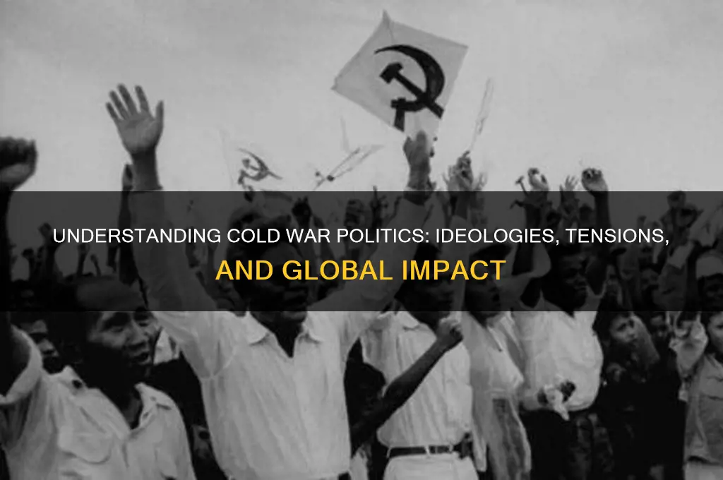 what is cold war politics