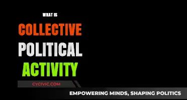 Understanding Collective Political Activity: Power, Participation, and Social Change