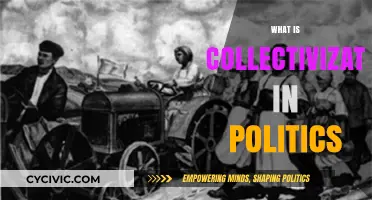 Understanding Collectivization: Political Strategies, Impacts, and Historical Context