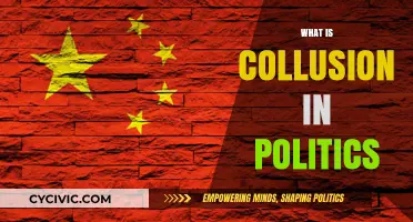 Unveiling Political Collusion: Secret Alliances and Their Impact on Democracy
