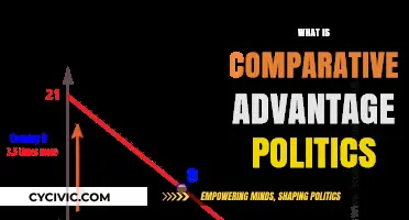 Comparative Advantage in Politics: Understanding Strategic Power Dynamics