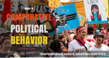 Understanding Comparative Political Behavior: Analyzing Global Citizen Actions and Motivations