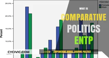 Exploring Comparative Politics Through the ENTP Personality Lens