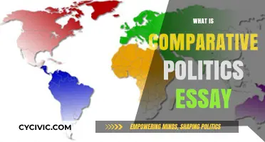 Understanding Comparative Politics: A Comprehensive Essay Guide