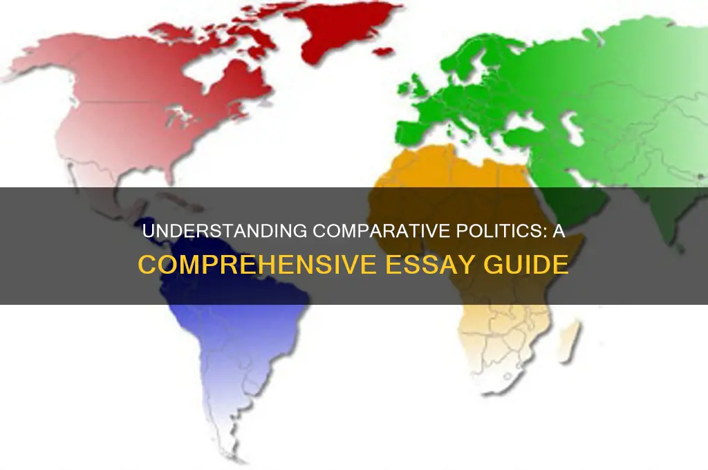 what is comparative politics essay