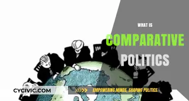 Understanding Comparative Politics: Analyzing Global Political Systems and Governance