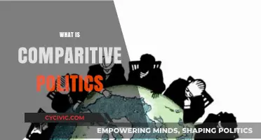 Understanding Comparative Politics: Analyzing Global Political Systems and Governance