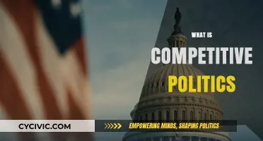 Understanding Competitive Politics: Strategies, Power Dynamics, and Electoral Battles