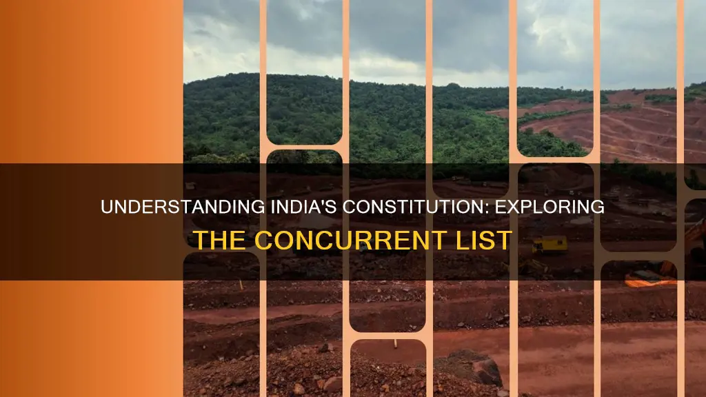 what is concurrent list in indian constitution