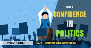 Understanding Confidence in Politics: Power, Leadership, and Public Trust Explained