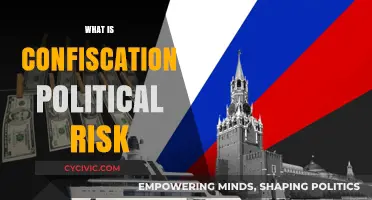 Understanding Confiscation Political Risk: Threats, Impacts, and Mitigation Strategies