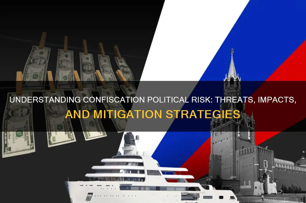what is confiscation political risk