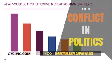 Understanding Political Conflict: Causes, Consequences, and Resolution Strategies