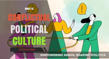 Understanding Conflictual Political Culture: Causes, Impacts, and Resolution Strategies