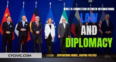 International Law and Diplomacy: Partners in Global Governance