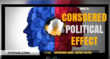 Understanding Political Effect: Causes, Impact, and Real-World Implications
