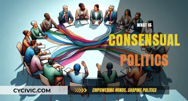 Understanding Consensual Politics: Collaboration, Compromise, and Democratic Governance Explained
