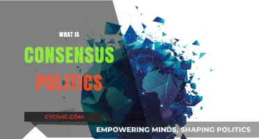 Understanding Consensus Politics: Collaboration, Compromise, and Governance Explained