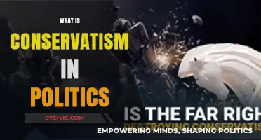 Understanding Conservatism: Core Principles and Political Impact Explained