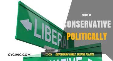 Understanding Conservative Politics: Core Principles and Modern Implications
