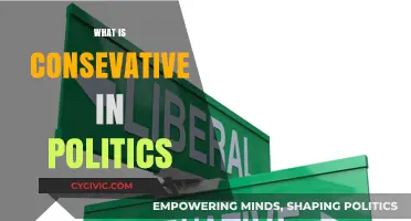 Understanding Conservative Politics: Core Principles and Modern Implications