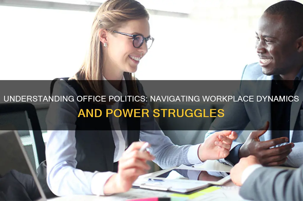 what is considered office politics