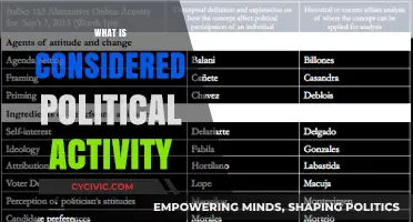 Understanding Political Activity: Definitions, Boundaries, and Real-World Implications