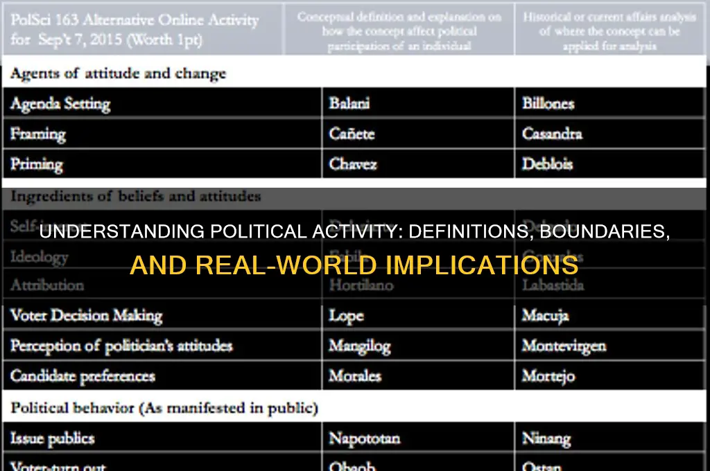 what is considered political activity