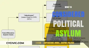 Understanding Political Asylum: Criteria, Process, and Global Implications Explained
